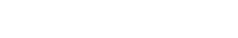 SpeakNow Dil Okulları